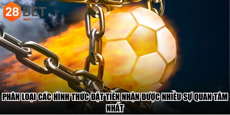 Phân loại các hình thức đặt tiền nhận được nhiều sự quan tâm nhất