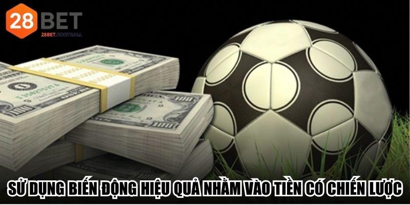 Sử dụng biến động hiệu quả nhằm vào tiền có chiến lược